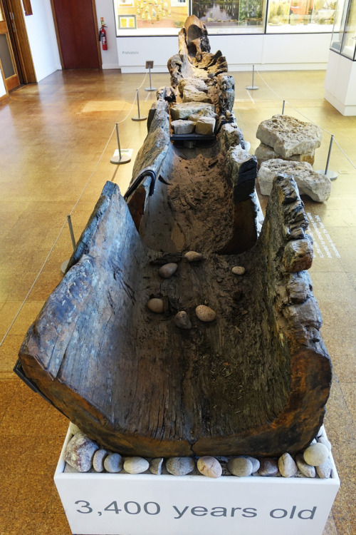 Bronze Age Log Boat from Shardlow, Derbyshire, Derby Museum and Gallery, 6.1.18.This Bronze Age Log 