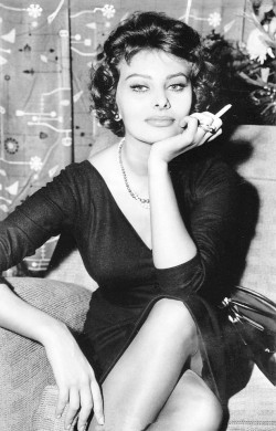 wi1d3rmind: wehadfacesthen: Sophia Loren,