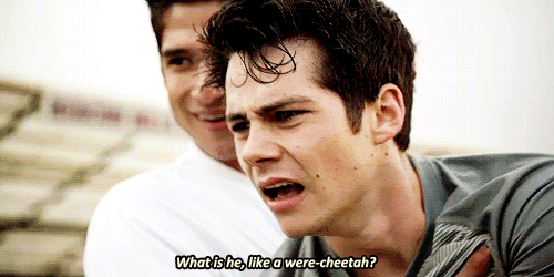 teenwolf:  I wonder how many were-cheetah Fics have already been written… 