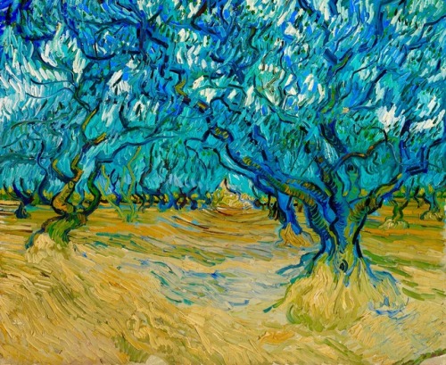 historyofartdaily:Vincent van Gogh, Olive Orchard, Saint-Rémy, 1889, oil on canvas, 53.5 x 64.5 cm, 