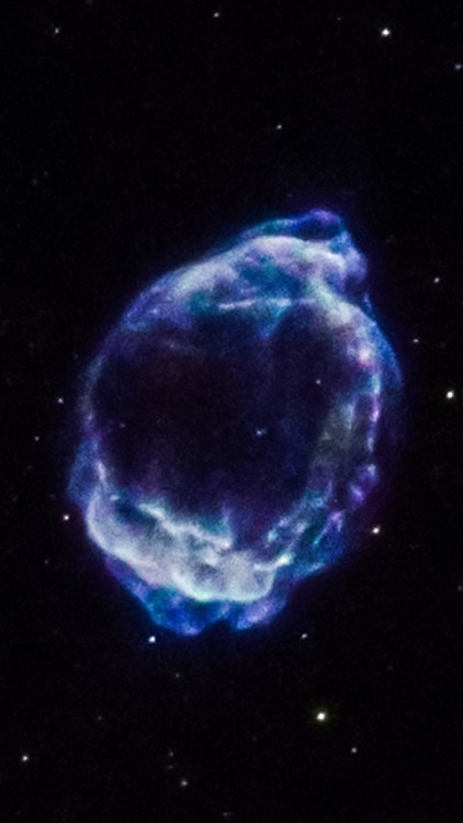 Porn photo spacewonder19:  Supernova Remnants © Chandra