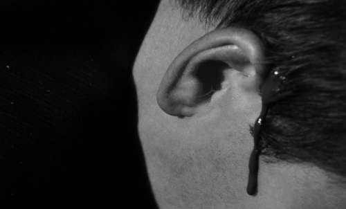 luciofulci: Repulsion (1965)  dir. Roman Polanski (x)