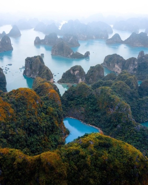 different-landscapes:  Koh Phi Phi Lee by Michael Block