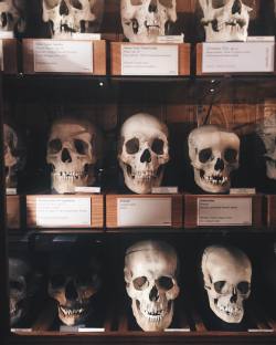 theewhitewitch: Friends at the Mütter. (at