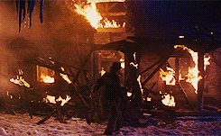 27thdoctor:  Raiders of the Lost Ark (1981) 