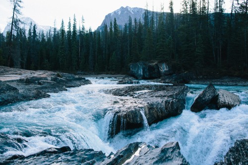 cold rush. photo: graeme_o