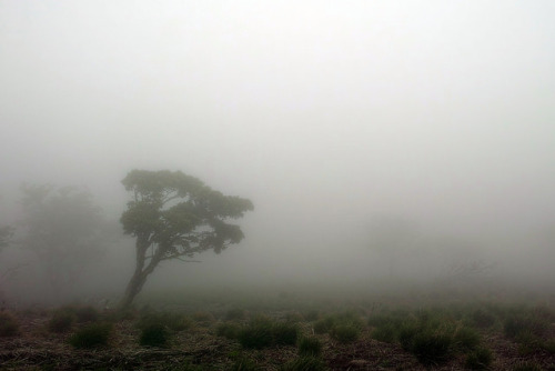 Mt. Ryozen / Shiga Prefecture by sf1003！ on Flickr.