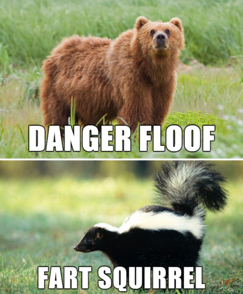 rarest-beauty:tastefullyoffensive:Alternate Names for Animals (photos via Imgur)Related: Name Improvements for Everyday StuffFart squirrel FLAP FLAP! OMG! ASSHOLE XD *snort*I’m sorry. I’m dying. This was way too fucking funny XD