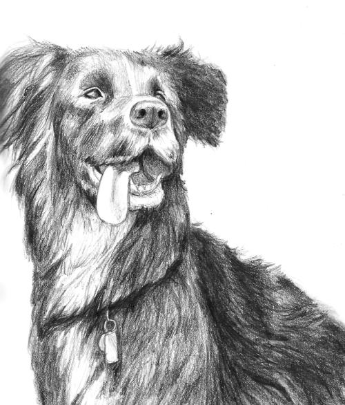 movinglabonart:just a sketch of a good doggo