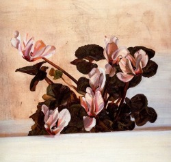 Artist-Freud:  Cyclamen, Lucian Freud Medium: Oil,Canvashttps://Www.wikiart.org/En/Lucian-Freud/Cyclamen-1964