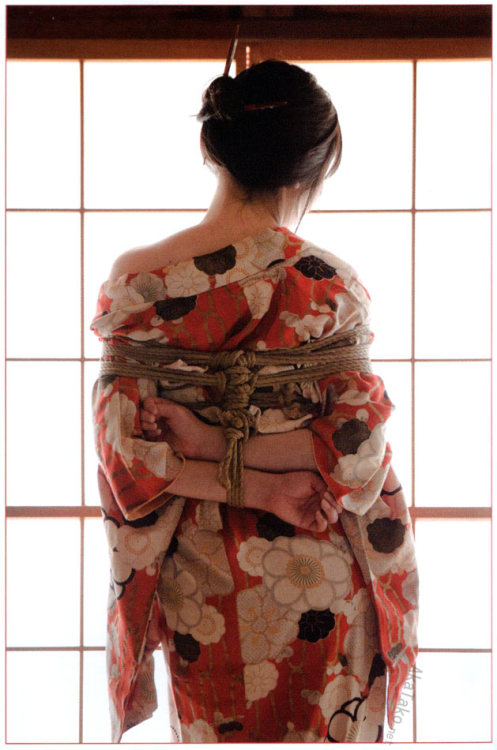 WAYOU KINBAKU MIYABI by Hajime Kinoko focuses on traditional, elegant kinbaku. Natural ropes, refine