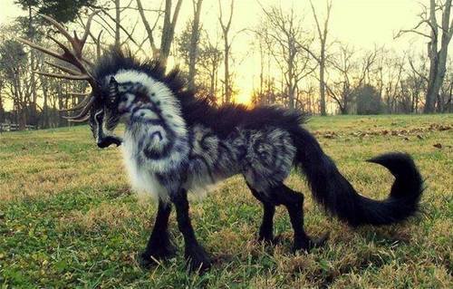 lovethythrall:  inaciubotaru:  Magic creature | via Facebook на We Heart It.  What fuckery is this?