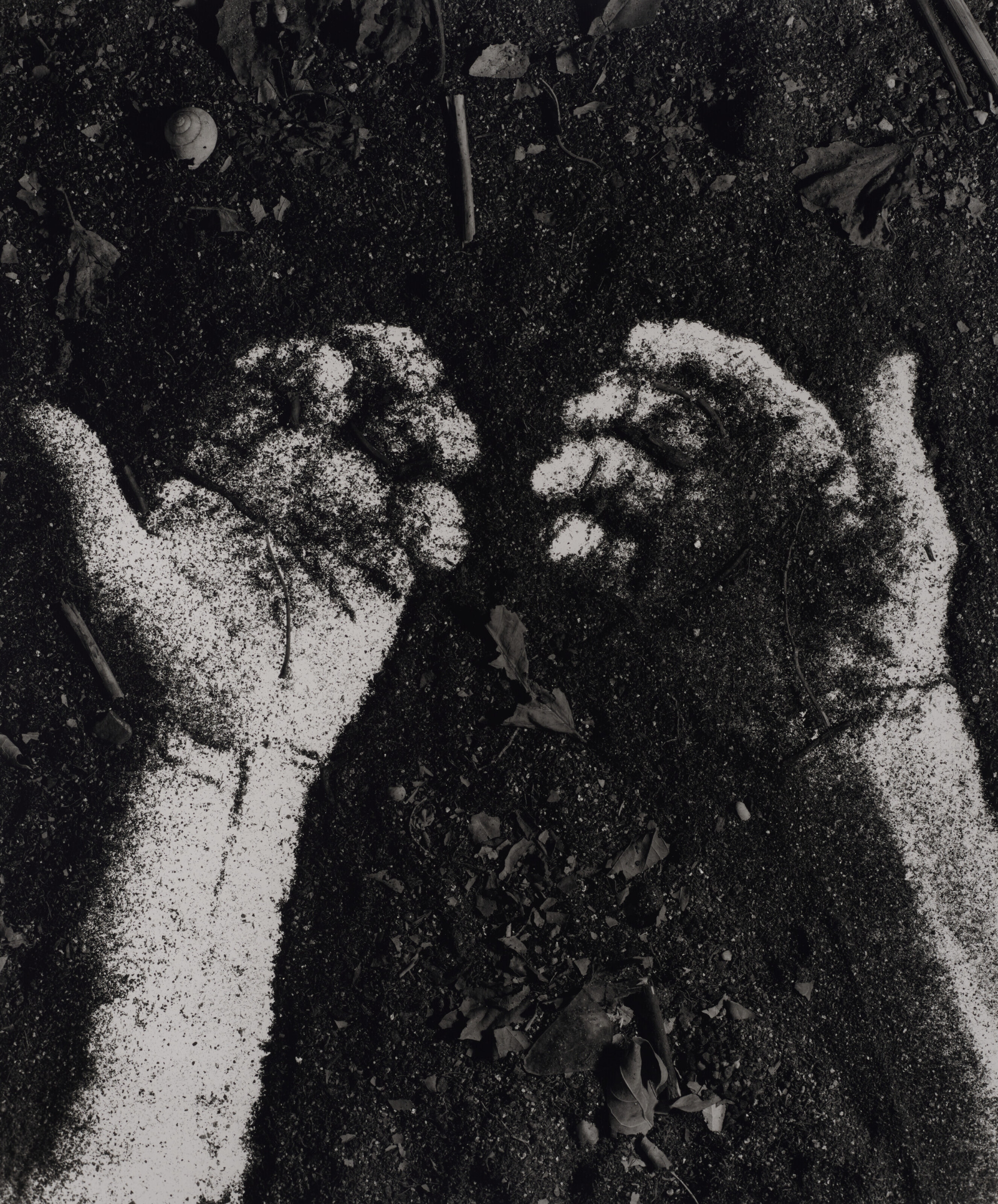 grainy photograph of two hands cradling freshly turned earth