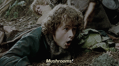 hobbitslovemushrooms