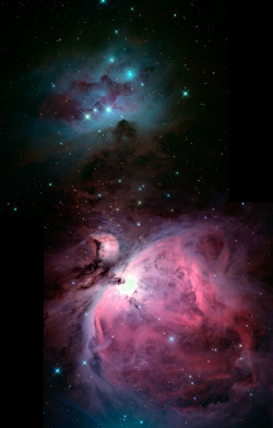 drxgonfly:  m42_ngc1977_mosaic_final (by pfile)