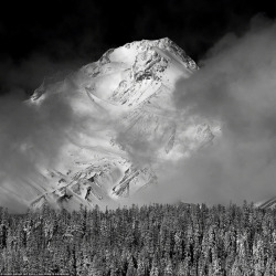 bodiegroup:  Mount Hood | infrared on Flickr. as gorgeous as this was today, it was rather disappointing see so little snow on the mountain for this time of year. 