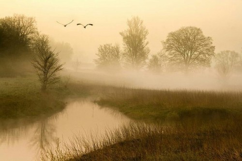 How sad, ye Gods, how sad the world is at evening, how mysterious the mists over the swamps! You wil