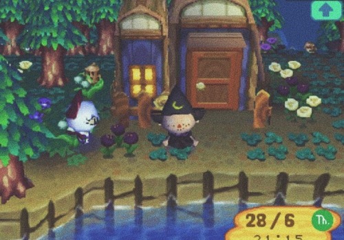 animalcrossingwildworld