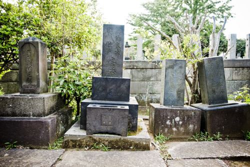 Yanaka Cemetery Tokyo / 2016 / Sony RX100m3