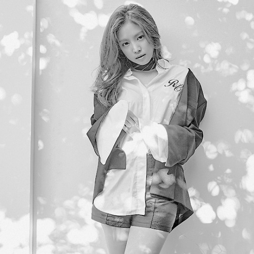 zionqt:    Kpop Concepts:Apink  Pink Revolution    