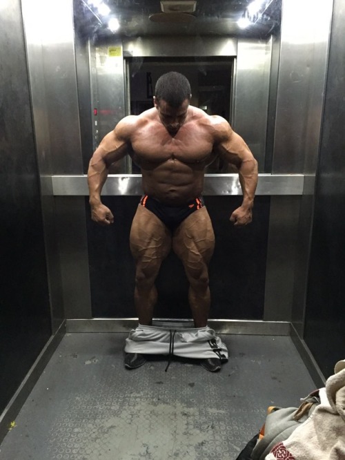 whitepapermuscle:Maor Zaradez