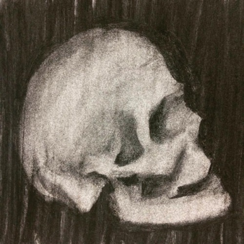 Mr Bones is such a patient model. Skull study working with subtraction in charcoal. #art #drawing #s