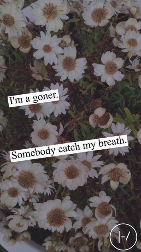 minelockscreen:  TOP lockscreens  Like or reblog if you save 🌸 •Check my blog