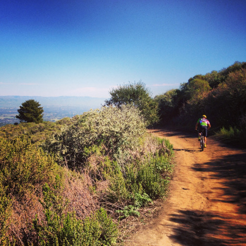 simplycoolcafe: A little dirt and fresh air to cleanse the soul…