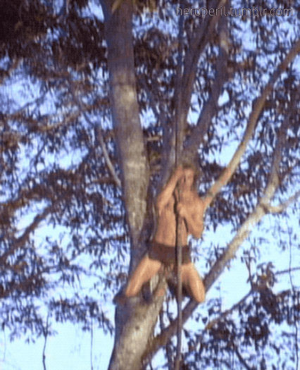 heroperil: Tarzan (1991) - Season 1, Episode 2 The early 90s saw a new Tarzan TV series with German 