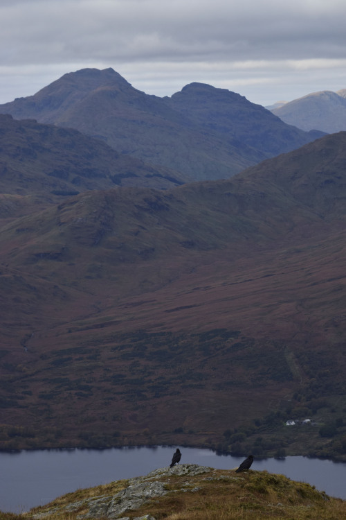 Ben Venue - Trossachs National ParkWhen we pulled up by the side of Loch Venachar, we didn&rsquo;t k