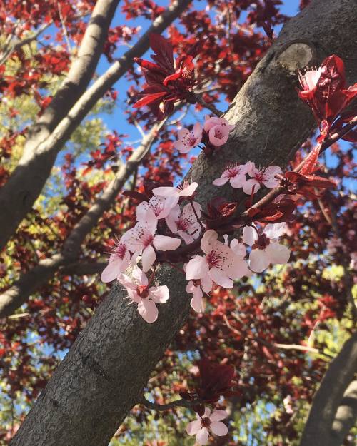 It’s blooming season. 