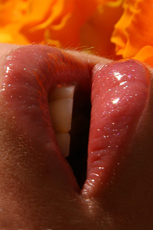 sette1sette:  Olga - Magnificent…  (Expl) Visit my new blog “setteasette”