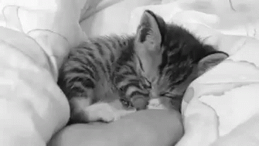 So Sleepy Today