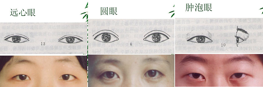 exrpan: mirrepp:  14 Different kinds of asian eye shapes.  I’m so glad someone