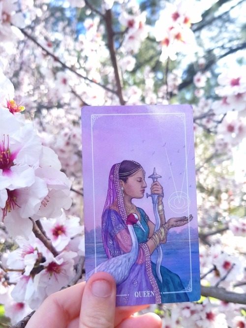 divination-and-dogs: Ostara Tarot + Flowers