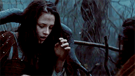 bellacullens:I AM LEARNING TO SHARPEN MY TEETH AND RULE KINGDOMS, INSTEAD.