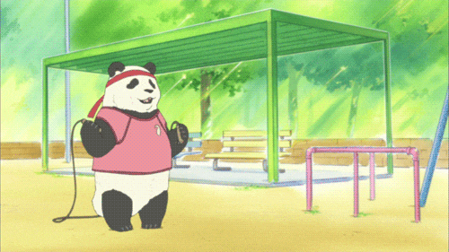 anime panda on Tumblr