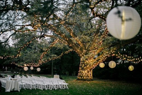 weddingsintheforest: This is just stunning.