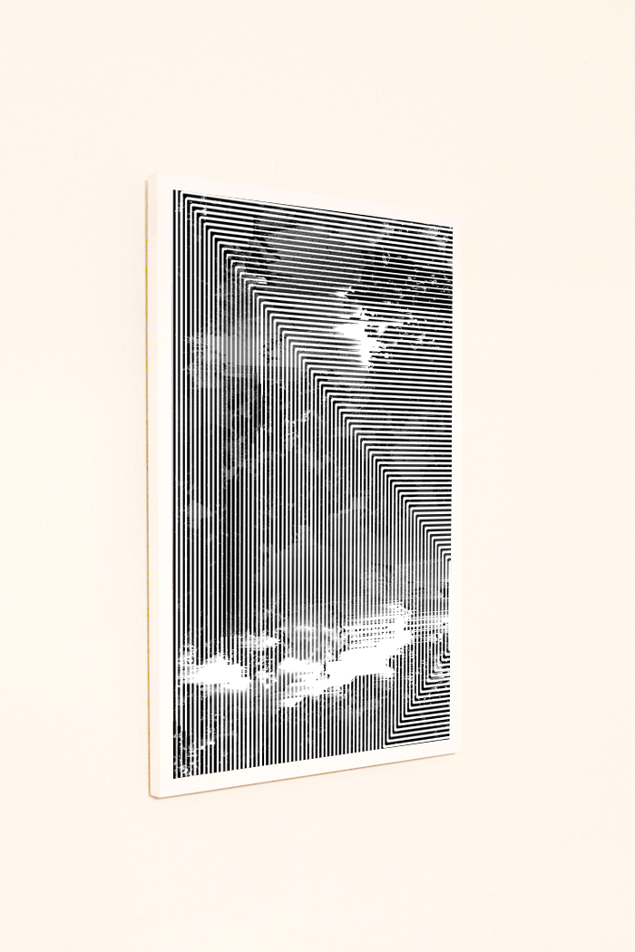 heathwest:  Heath Westflowersort_03, 2014Inkjet print on matte photopaper, styrene,