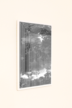 heathwest:  Heath Westflowersort_03, 2014Inkjet print on matte photopaper, styrene, wood18 x 12 x 1 in. 