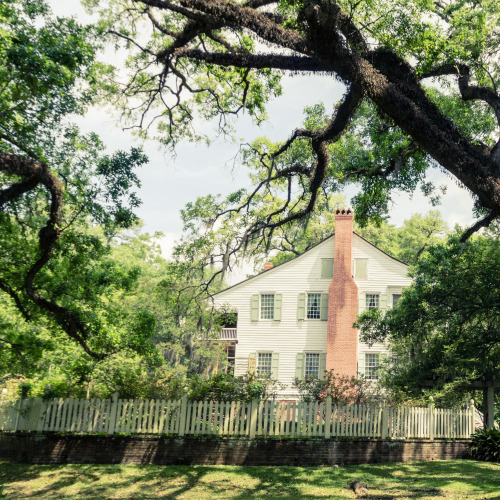 Deep South, Oakley plantation, Louisiana USA (2014)