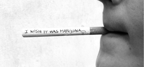 d-yspathy:  vodka-on-my-jeans:  weeeeeeed  Literally me, every damn day. 