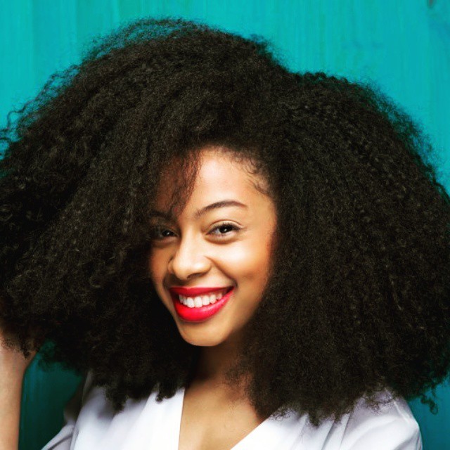 Afro kinky curly human hair wig