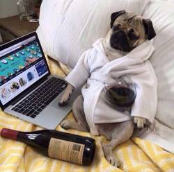 Monday night like&hellip;.