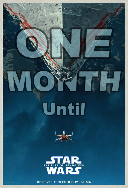 JUST ONE MONTH TO GO!!!!!!!!!!!!!! (more or less)…THIRTYONEDAYSUNTILTHE RISE OF SKYWALKER