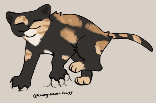 Very Amazing Perfect Drawing Of My Cat, Doof-doof, Living Her Best Loaf
