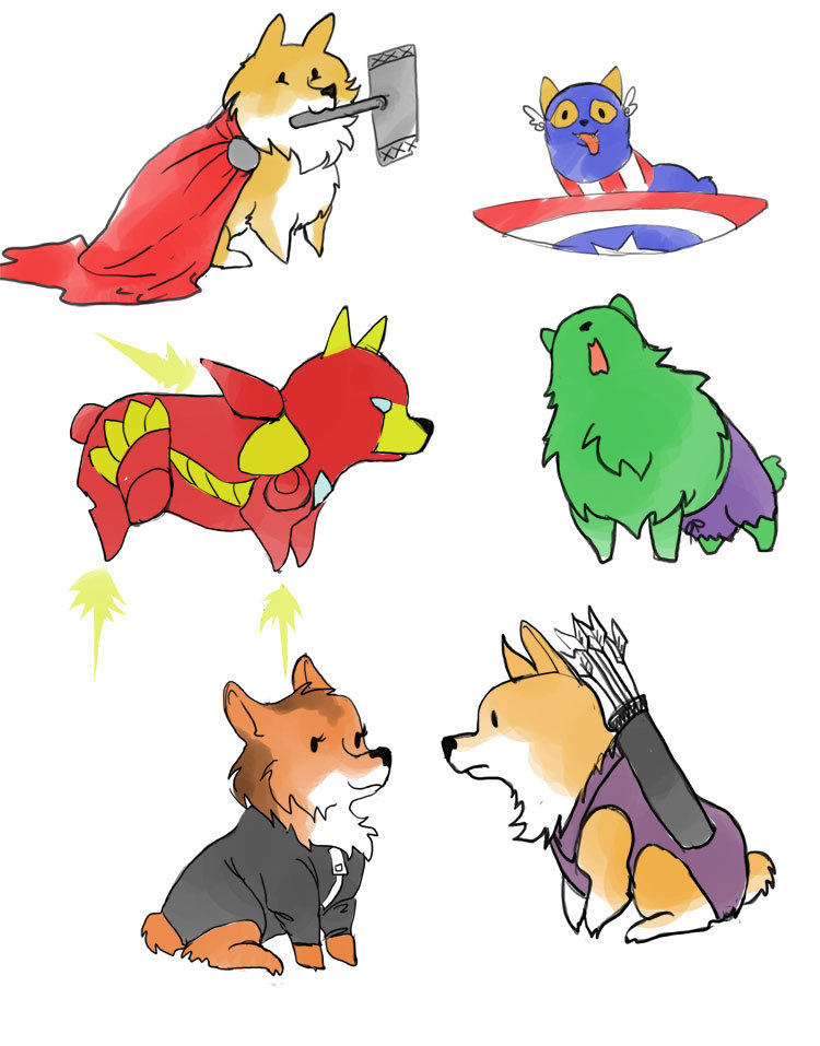 corgis-everywhere:  submitted by finnebon 