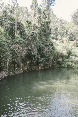 jefflevingston:Rock pools, NSW.