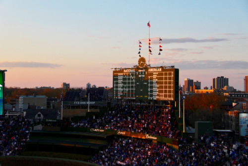 Porn photo mlb:  That Wrigley sunset.  Some day we will