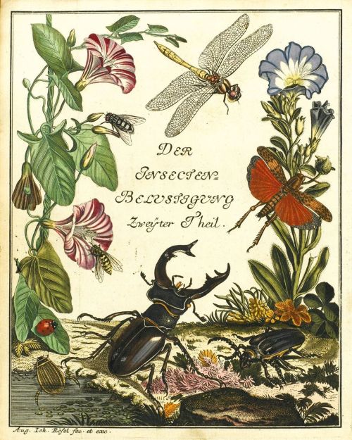 unsubconscious: Title page of “Der monathlich-herausgegebenen Insecten-Belustigung” by A